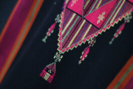 embroidery detail 